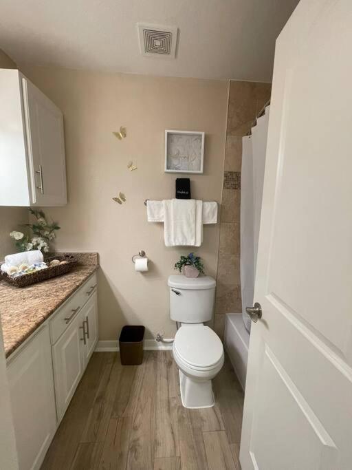 Beautiful/Spacious 2 Bedroom Houston Near Galleria Kültér fotó